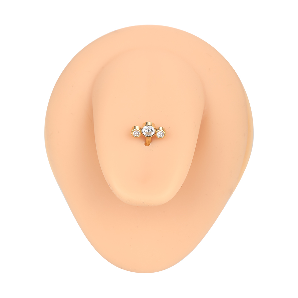 1/5PCS G23 Titan PIERC Gold Fa – Body Jewelry Changing Kit Bewertung und Preis