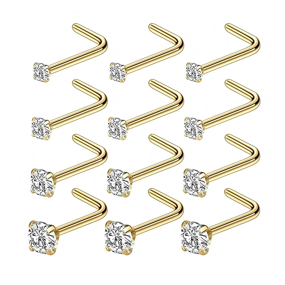 12-teiliges komplettes Set 316 – Body Jewelry Nose Bewertung und Preis
