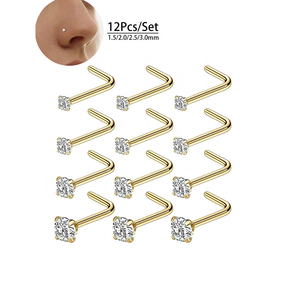 12-teiliges komplettes Set 316 – Body Jewelry Nose Bewertung und Preis