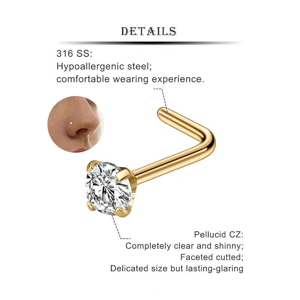 12-teiliges komplettes Set 316 – Body Jewelry Nose Bewertung und Preis